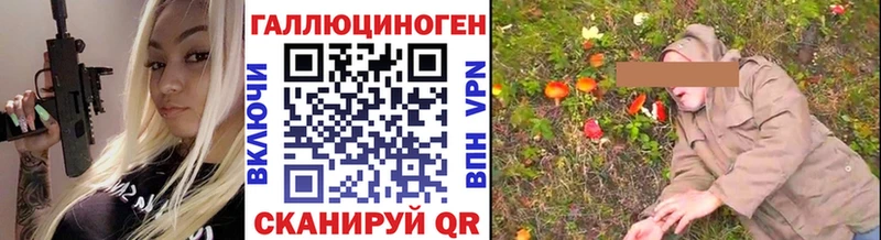 Псилоцибиновые грибы Psilocybine cubensis  Лихославль 